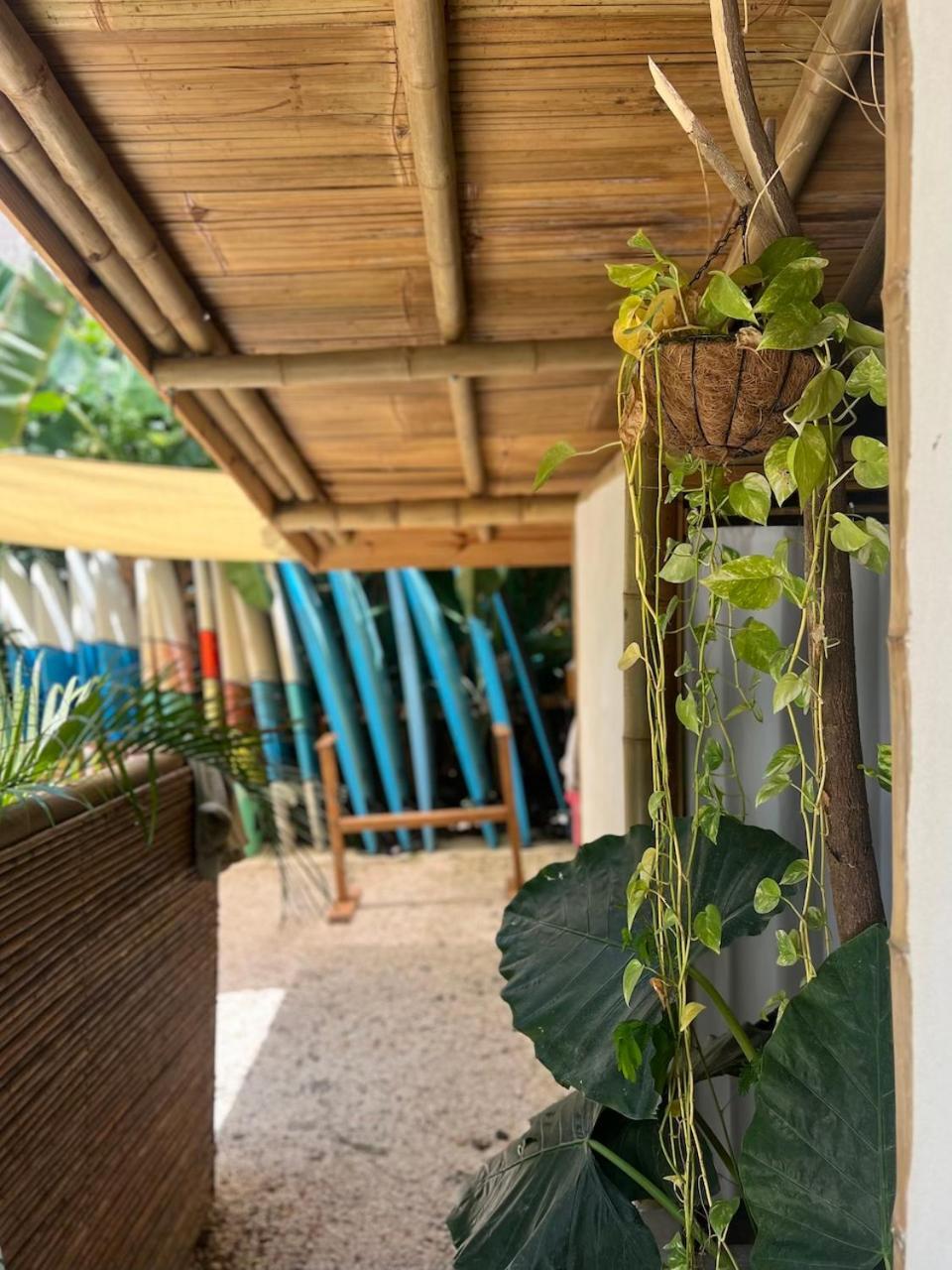 Ostello Dream Surf House Santa Teresa Playa Hermosa Cobano Esterno foto