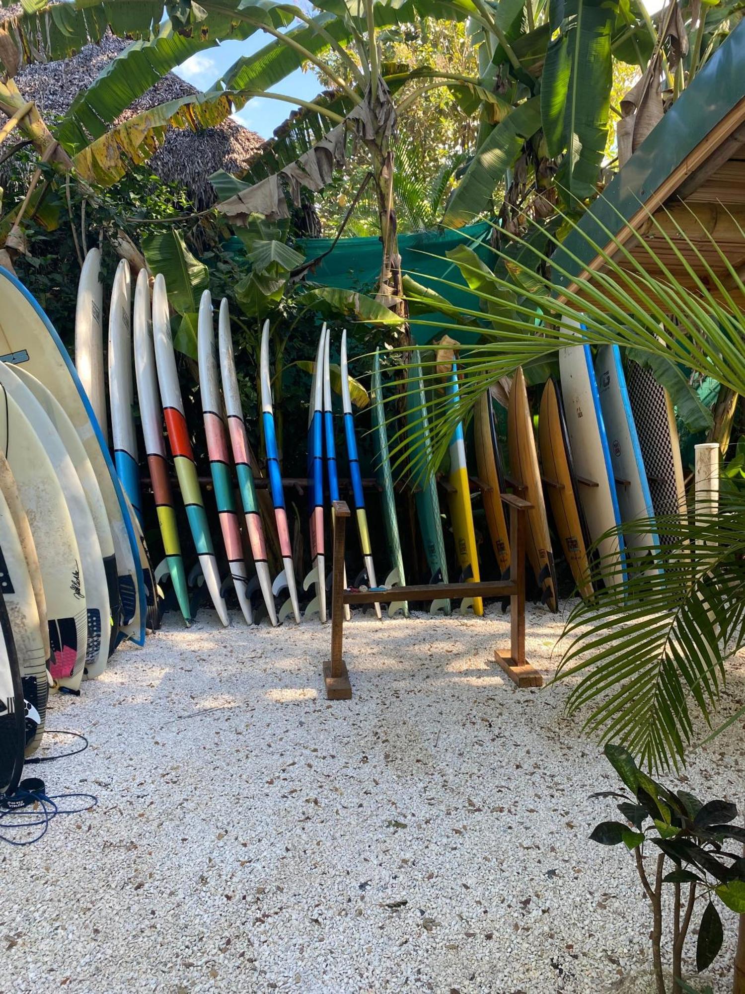Ostello Dream Surf House Santa Teresa Playa Hermosa Cobano Esterno foto
